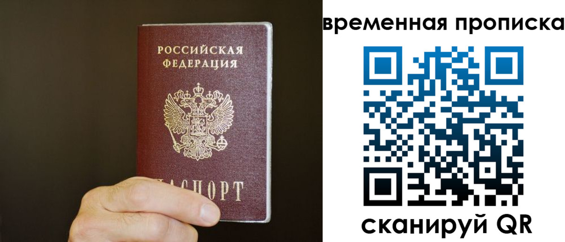 регистрация для школы в Курской области
